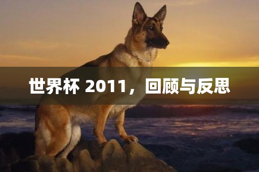 世界杯 2011，回顾与反思
