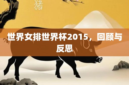 世界女排世界杯2015，回顾与反思