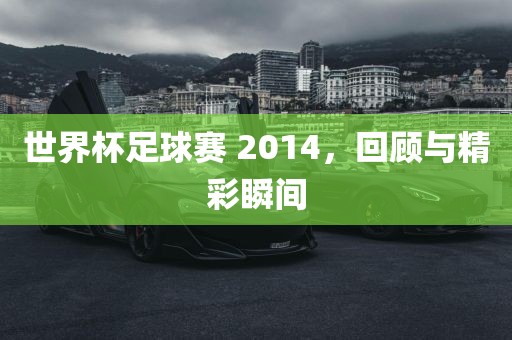 世界杯足球赛 2014，回顾与精彩瞬间