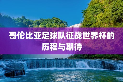 哥伦比亚足球队征战世界杯的历程与期待