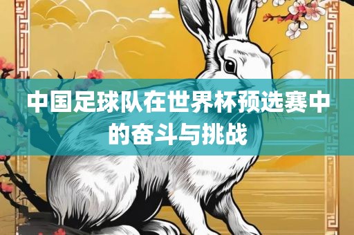 中国足球队在世界杯预选赛中的奋斗与挑战