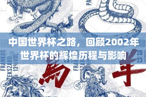 中国世界杯之路，回顾2002年世界杯的辉煌历程与影响
