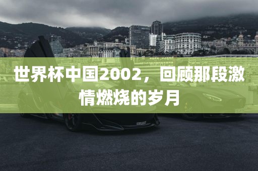 世界杯中国2002，回顾那段激情燃烧的岁月