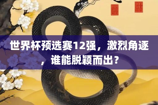 世界杯预选赛12强，激烈角逐，谁能脱颖而出？