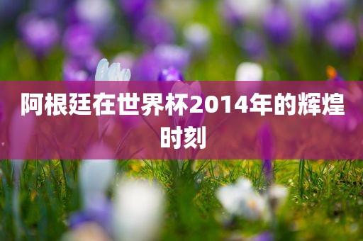 阿根廷在世界杯2014年的辉煌时刻