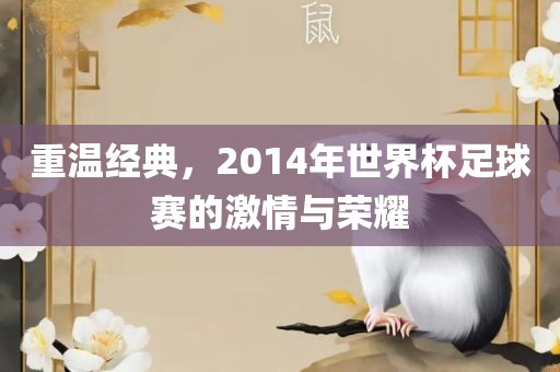 重温经典，2014年世界杯足球赛的激情与荣耀