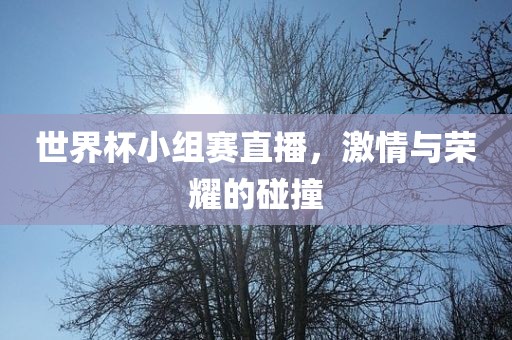 世界杯小组赛直播，激情与荣耀的碰撞