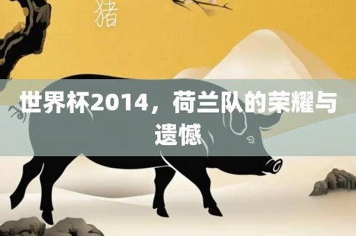 世界杯2014，荷兰队的荣耀与遗憾