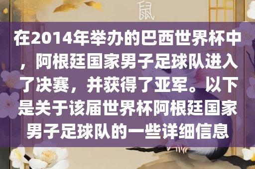 在2014年举办的巴西世界杯中，阿根廷国家男子足球队进入了决赛，并获得了亚军。以下是关于该届世界杯阿根廷国家男子足球队的一些详细信息