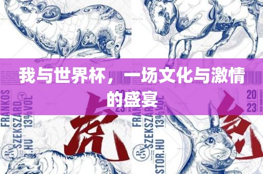我与世界杯，一场文化与激情的盛宴