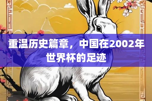 重温历史篇章，中国在2002年世界杯的足迹