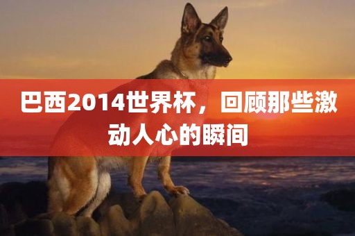 巴西2014世界杯，回顾那些激动人心的瞬间