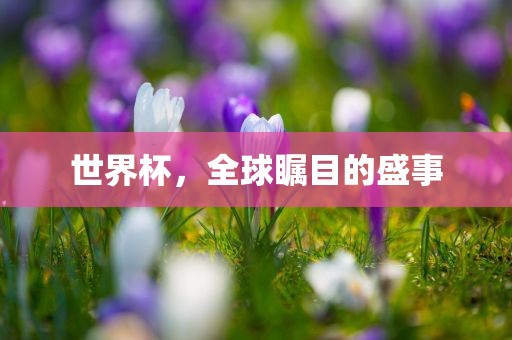 世界杯，全球瞩目的盛事