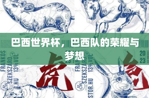 巴西世界杯，巴西队的荣耀与梦想
