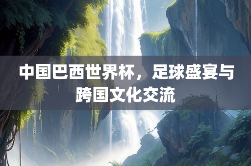 中国巴西世界杯，足球盛宴与跨国文化交流