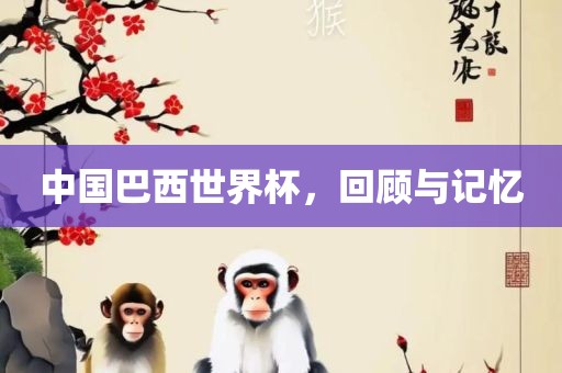 中国巴西世界杯，回顾与记忆