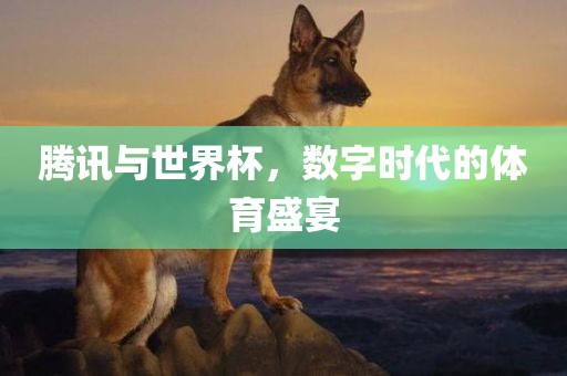 腾讯与世界杯，数字时代的体育盛宴