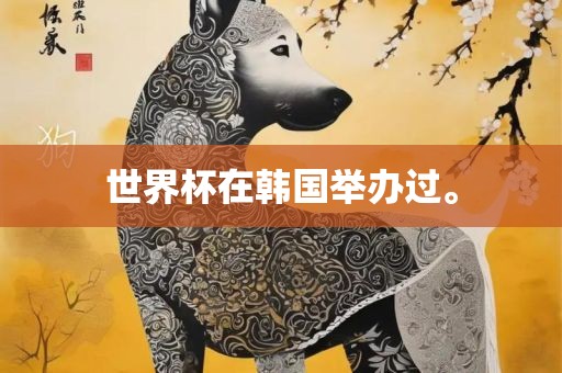世界杯在韩国举办过。