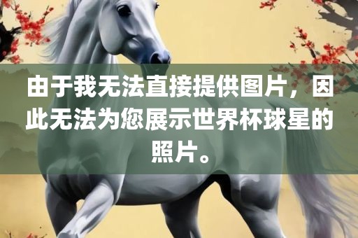 由于我无法直接提供图片，因此无法为您展示世界杯球星的照片。