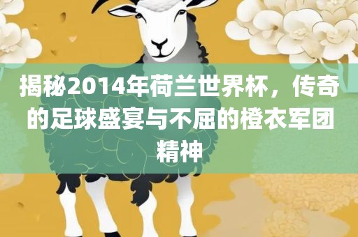 揭秘2014年荷兰世界杯，传奇的足球盛宴与不屈的橙衣军团精神