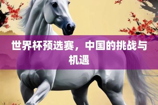 世界杯预选赛，中国的挑战与机遇
