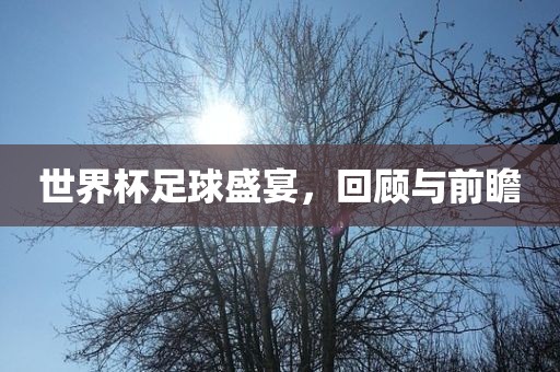 世界杯足球盛宴，回顾与前瞻
