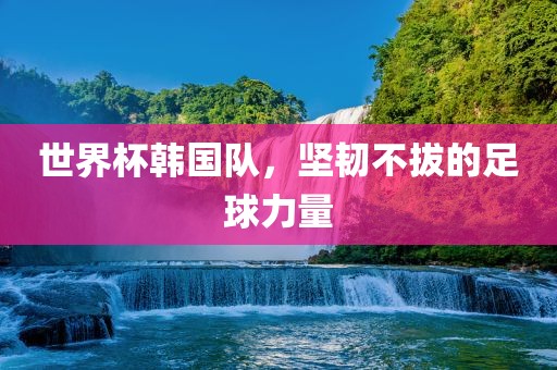 世界杯韩国队，坚韧不拔的足球力量