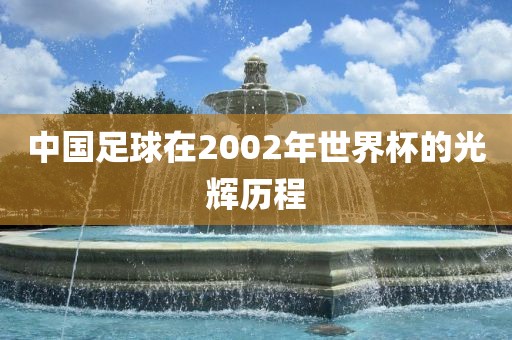 中国足球在2002年世界杯的光辉历程
