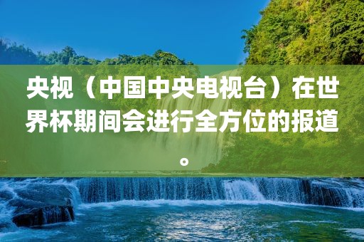 央视（中国中央电视台）在世界杯期间会进行全方位的报道。