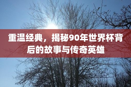 重温经典，揭秘90年世界杯背后的故事与传奇英雄