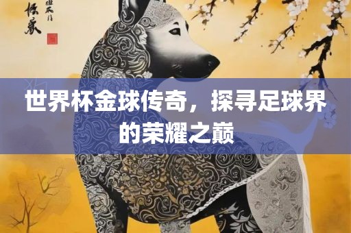世界杯金球传奇，探寻足球界的荣耀之巅