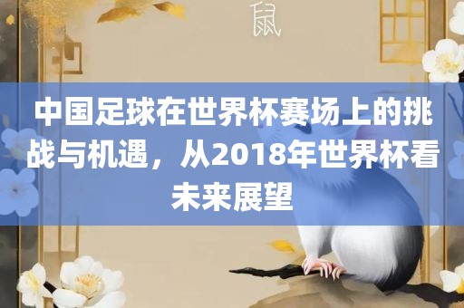 中国足球在世界杯赛场上的挑战与机遇，从2018年世界杯看未来展望