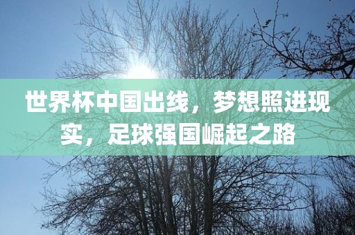 世界杯中国出线，梦想照进现实，足球强国崛起之路