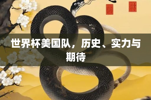 世界杯美国队，历史、实力与期待