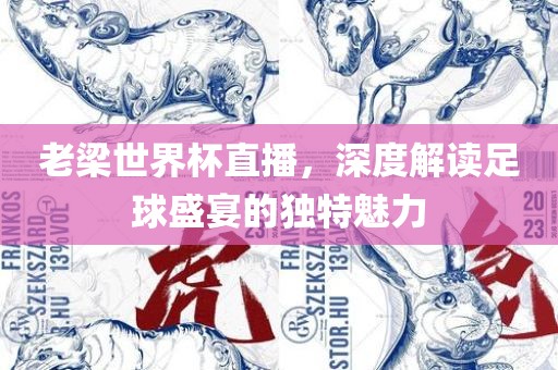 老梁世界杯直播，深度解读足球盛宴的独特魅力