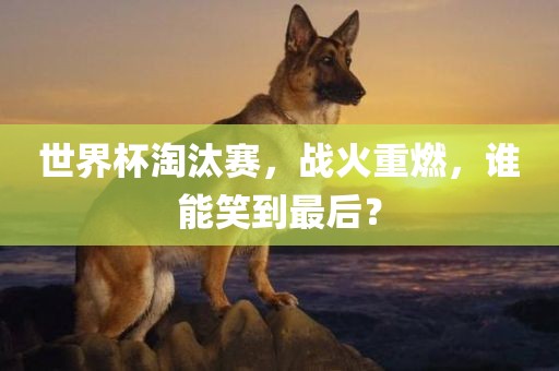 世界杯淘汰赛，战火重燃，谁能笑到最后？