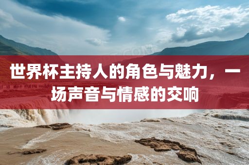 世界杯主持人的角色与魅力，一场声音与情感的交响