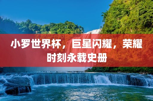 小罗世界杯，巨星闪耀，荣耀时刻永载史册