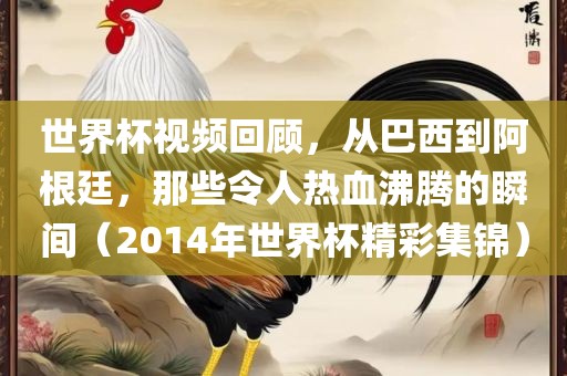 世界杯视频回顾，从巴西到阿根廷，那些令人热血沸腾的瞬间（2014年世界杯精彩集锦）