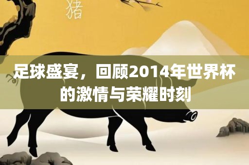 足球盛宴，回顾2014年世界杯的激情与荣耀时刻