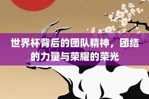 世界杯背后的团队精神，团结的力量与荣耀的荣光