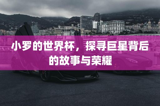 小罗的世界杯，探寻巨星背后的故事与荣耀