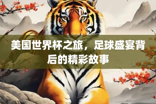 美国世界杯之旅，足球盛宴背后的精彩故事