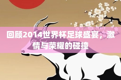 回顾2014世界杯足球盛宴，激情与荣耀的碰撞