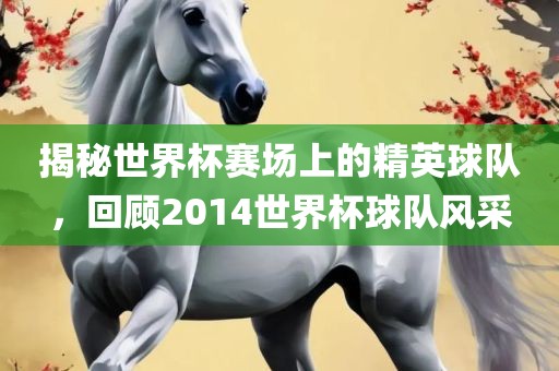揭秘世界杯赛场上的精英球队，回顾2014世界杯球队风采