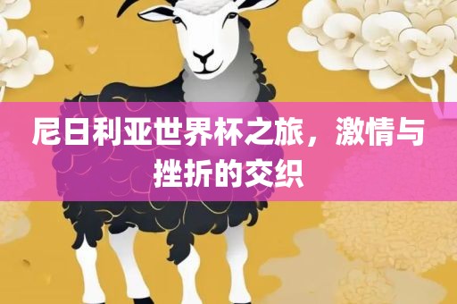 尼日利亚世界杯之旅，激情与挫折的交织