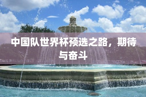 中国队世界杯预选之路，期待与奋斗