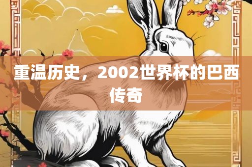 重温历史，2002世界杯的巴西传奇