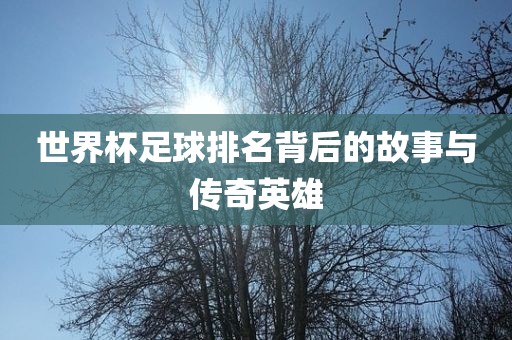 世眉山市正发家政服务有限公司界杯足球排名背后的故事与传奇英雄