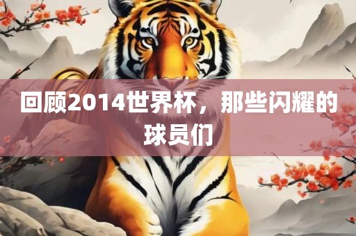 回顾2014世界杯，那些闪耀的球员们